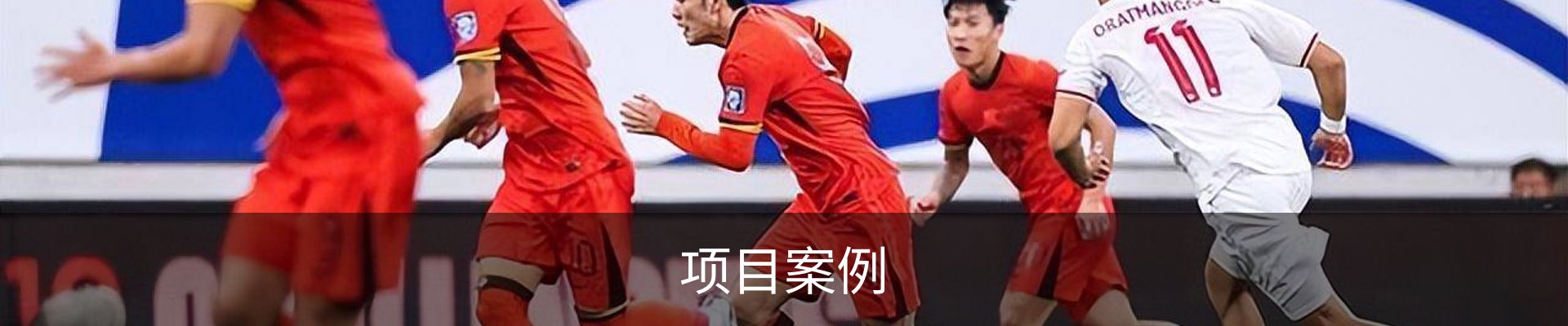 项目案例